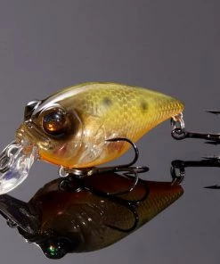 Megabass Mothra OB (SP-C) *Limit Of 2 Per Item*