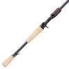Daiwa Steez Bass AGS Casting Rod (2021)