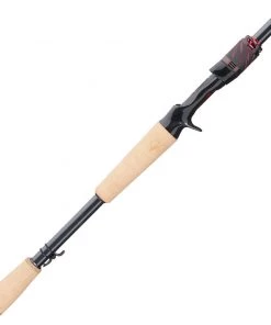Daiwa Steez Bass AGS Casting Rod (2021)