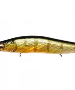 Megabass Vision Oneten +1 Jr. 31 Megabass Vision Oneten +1 Jr.