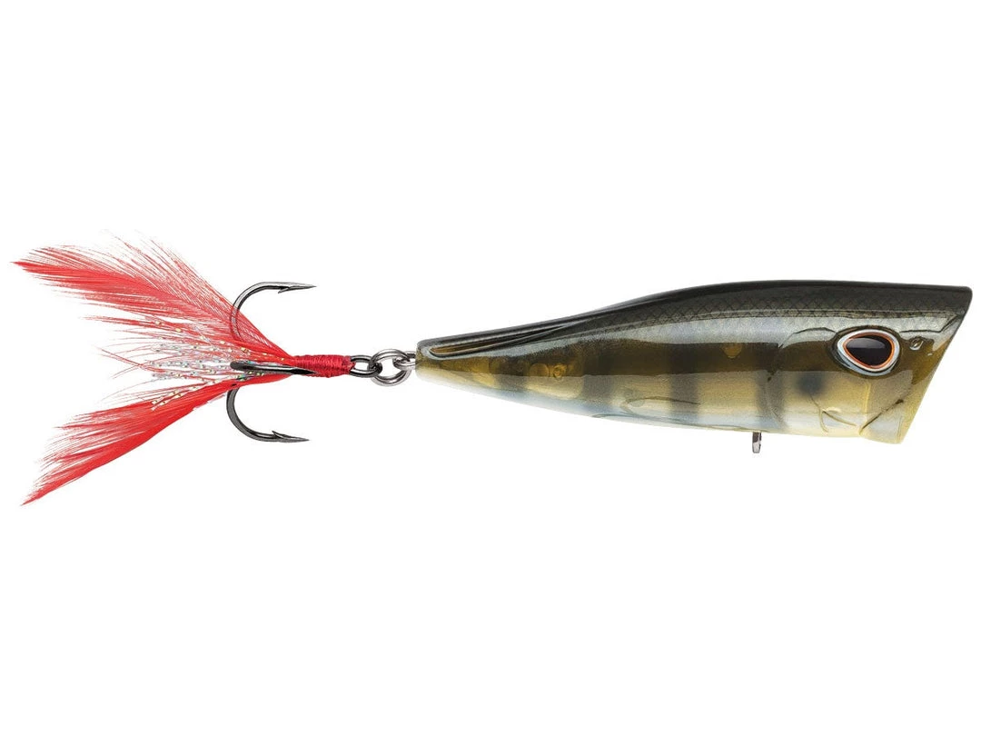 Storm Arashi Rattling Cover Pop 9 Storm Arashi Rattling Cover Pop