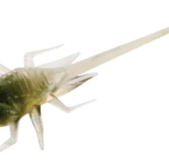 PANFISH BAITS 13 Fishing B.A.M.F