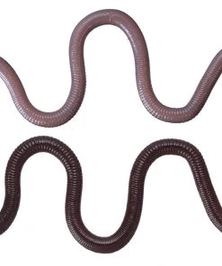 FINESSE WORMS O.S.P MMZ Chibi (Small)