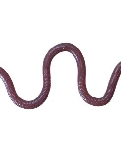 FINESSE WORMS O.S.P MMZ Chibi (Small)