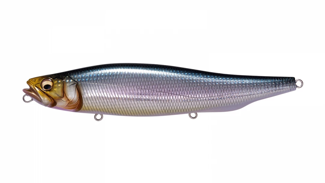 Megabass Megadog 3 Megabass Megadog