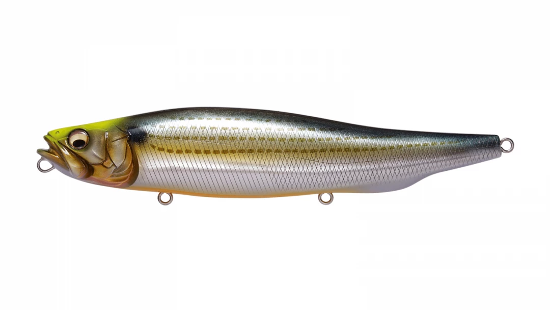 Megabass Megadog 6 Megabass Megadog