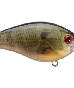 CRANKBAITS Strike King KVD 2.5 52 CRANKBAITS Strike King KVD 2.5