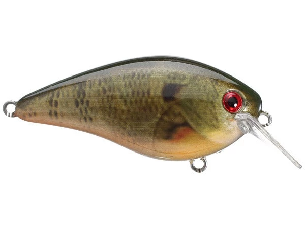 CRANKBAITS Strike King KVD 2.5 15 CRANKBAITS Strike King KVD 2.5