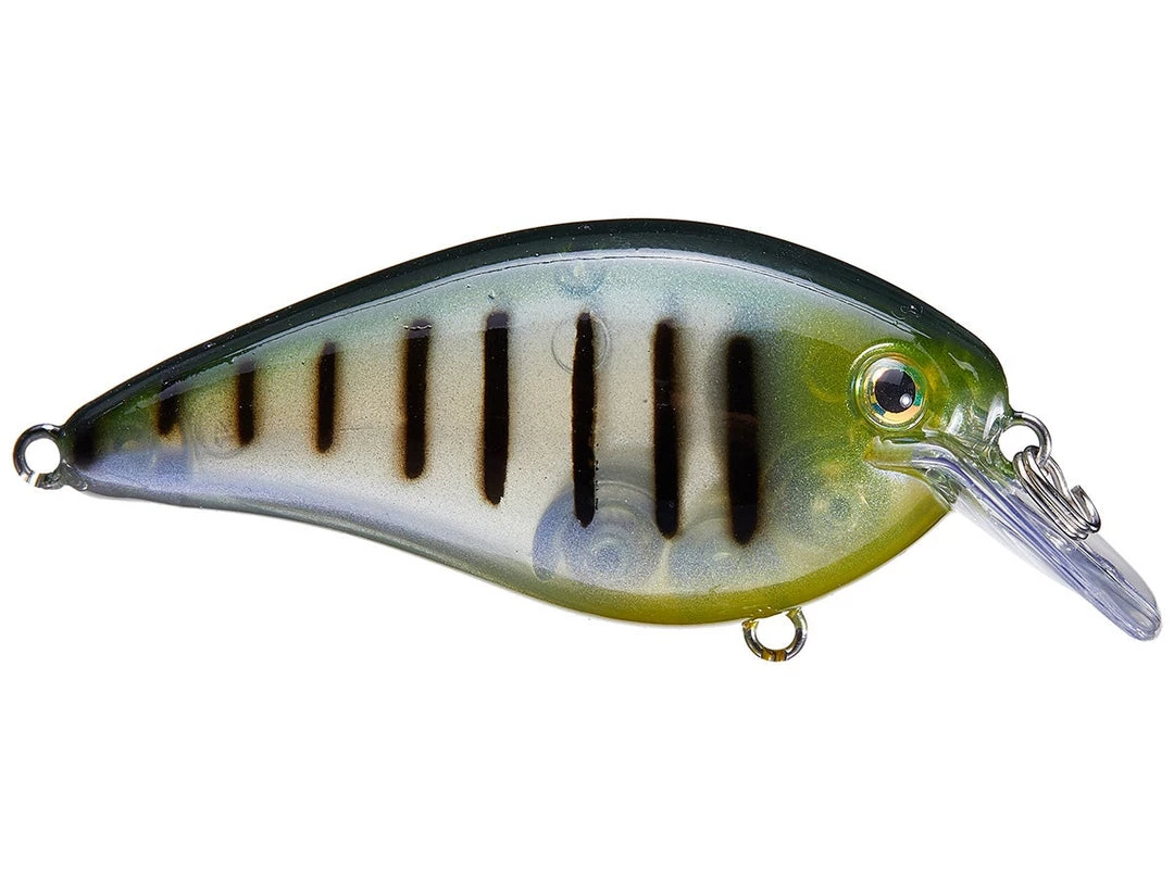 CRANKBAITS Strike King KVD 2.5 10 CRANKBAITS Strike King KVD 2.5