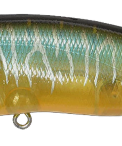 Megabass Popmax