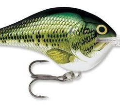 Rapala DT10 Crankbait CRANKBAITS 29 Rapala DT10 Crankbait CRANKBAITS