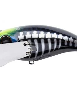 TOP WATER BAITS Jackall Pompadour Jr.