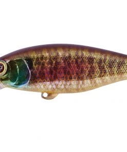 Jackall Chubble Crankbait