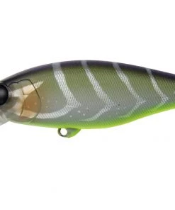 Jackall Chubble Crankbait