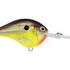 Rapala DT14 Crankbait CRANKBAITS