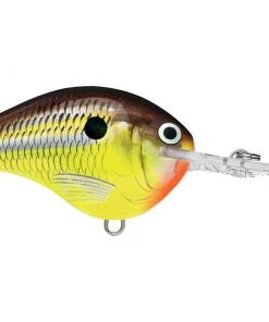 Rapala DT10 Crankbait CRANKBAITS 24 Rapala DT10 Crankbait CRANKBAITS