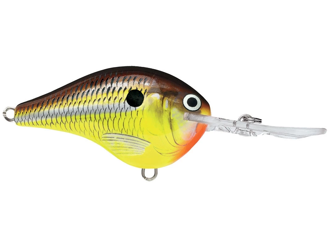 Rapala DT10 Crankbait CRANKBAITS 7 Rapala DT10 Crankbait CRANKBAITS