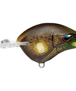 Rapala DT6 Crankbait CRANKBAITS