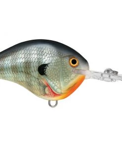 Rapala DT14 Crankbait CRANKBAITS