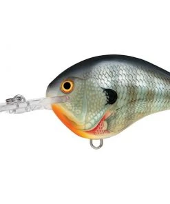 Rapala DT8 Crankbait
