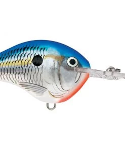 Rapala DT10 Crankbait CRANKBAITS 23 Rapala DT10 Crankbait CRANKBAITS