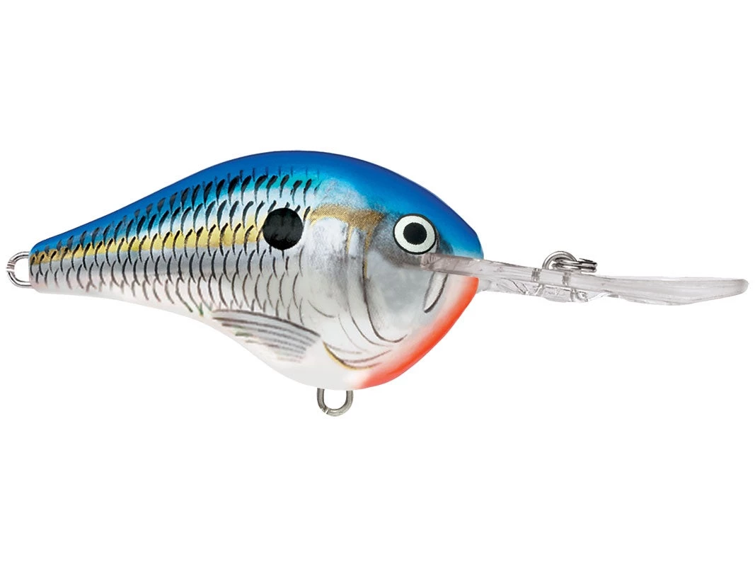 Rapala DT10 Crankbait CRANKBAITS 6 Rapala DT10 Crankbait CRANKBAITS
