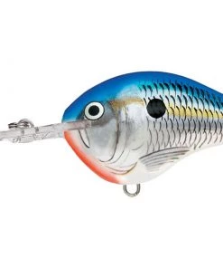 Rapala DT8 Crankbait