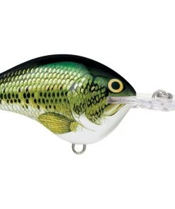Rapala DT14 Crankbait CRANKBAITS