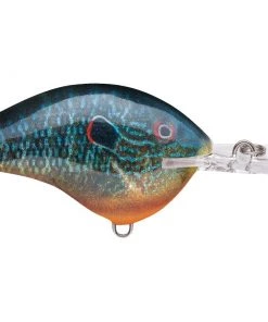 Rapala DT14 Crankbait CRANKBAITS