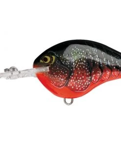 CRANKBAITS Rapala DT16 Crankbait