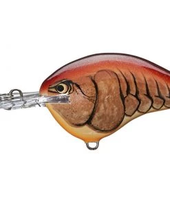 CRANKBAITS Rapala DT16 Crankbait