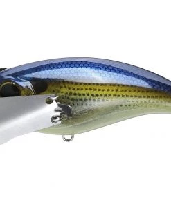 TOP WATER BAITS Jackall Pompadour Jr. 16 TOP WATER BAITS Jackall Pompadour Jr.