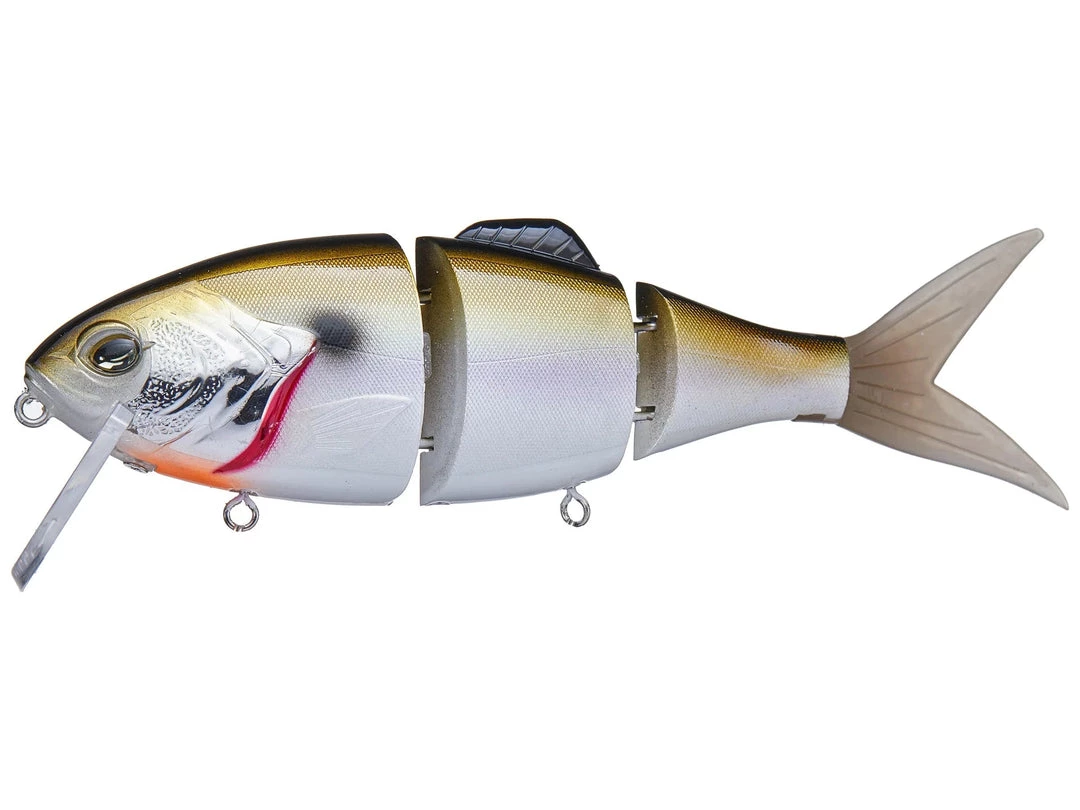 Geecrack Gilling Neo 160F 4 Geecrack Gilling Neo 160F