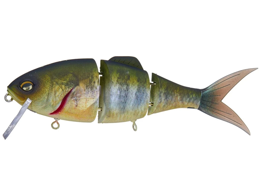 Geecrack Gilling Neo 160F 3 Geecrack Gilling Neo 160F