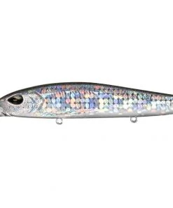 13 Fishing Whipper Snapper