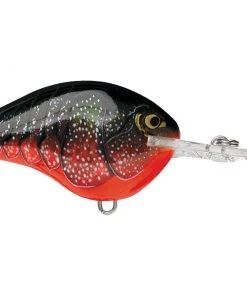 Rapala DT14 Crankbait CRANKBAITS