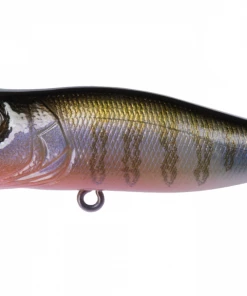 TOP WATER BAITS Megabass Pop X